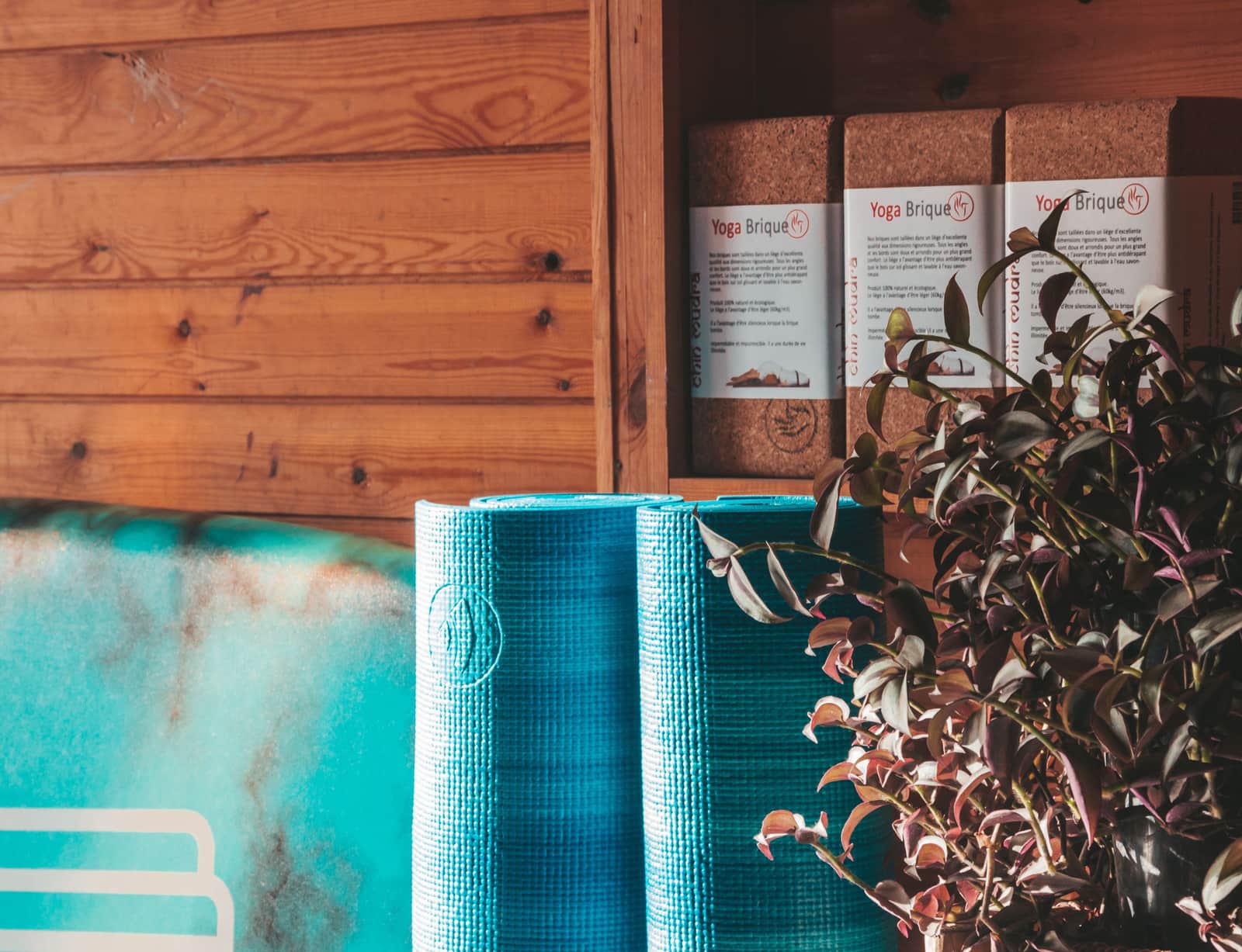 A calm studio corner with mats, cork bricks and leafy plants
